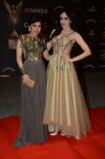 Tulsi Kumar at the red carpet of Stardust awards on 21st Dec 2015